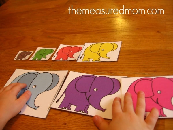 child ordering elephant cards