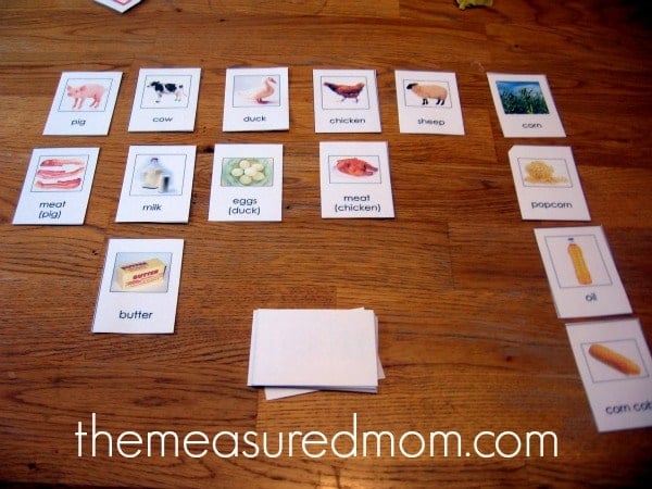 classified farm animals and byproducts cards