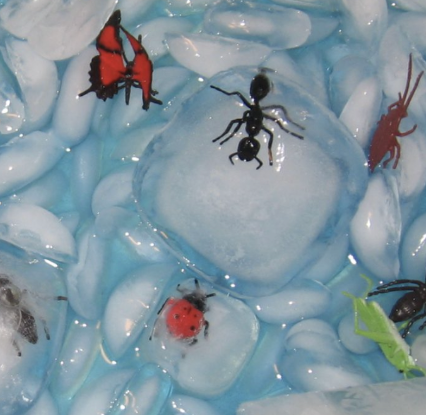 Icy Insect Sensory Bin