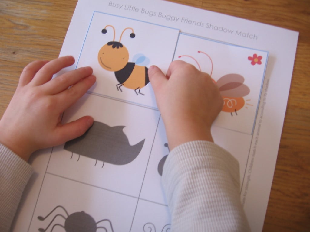 child playing bug shadow match
