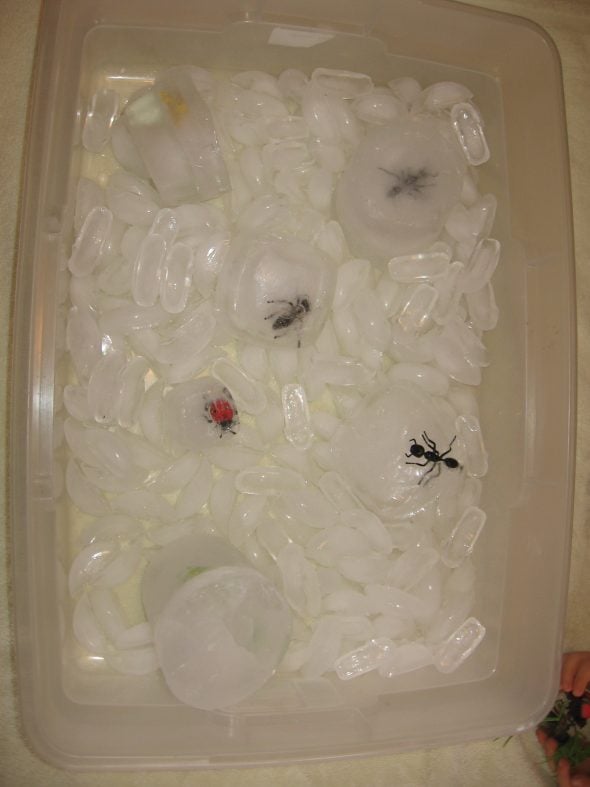 toy insects in ice