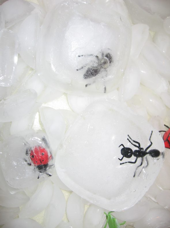 toy insects in ice