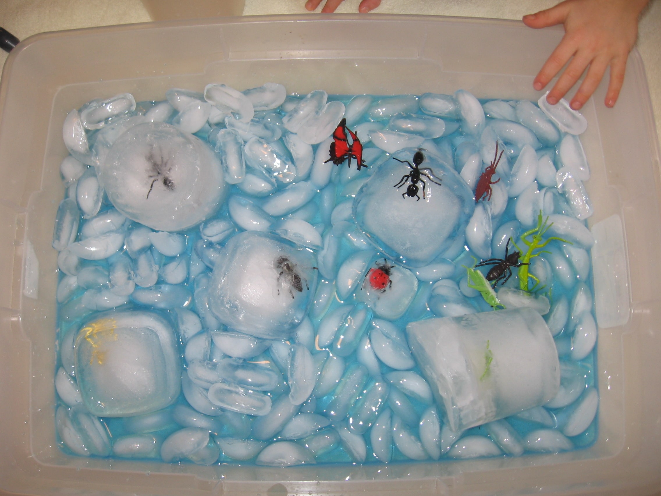 toy insects in ice with blue water