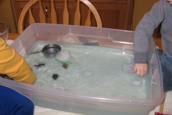 bin full of toy insects, warm water, and ice