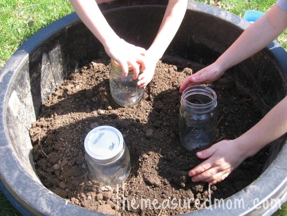 pressing jars into dirt