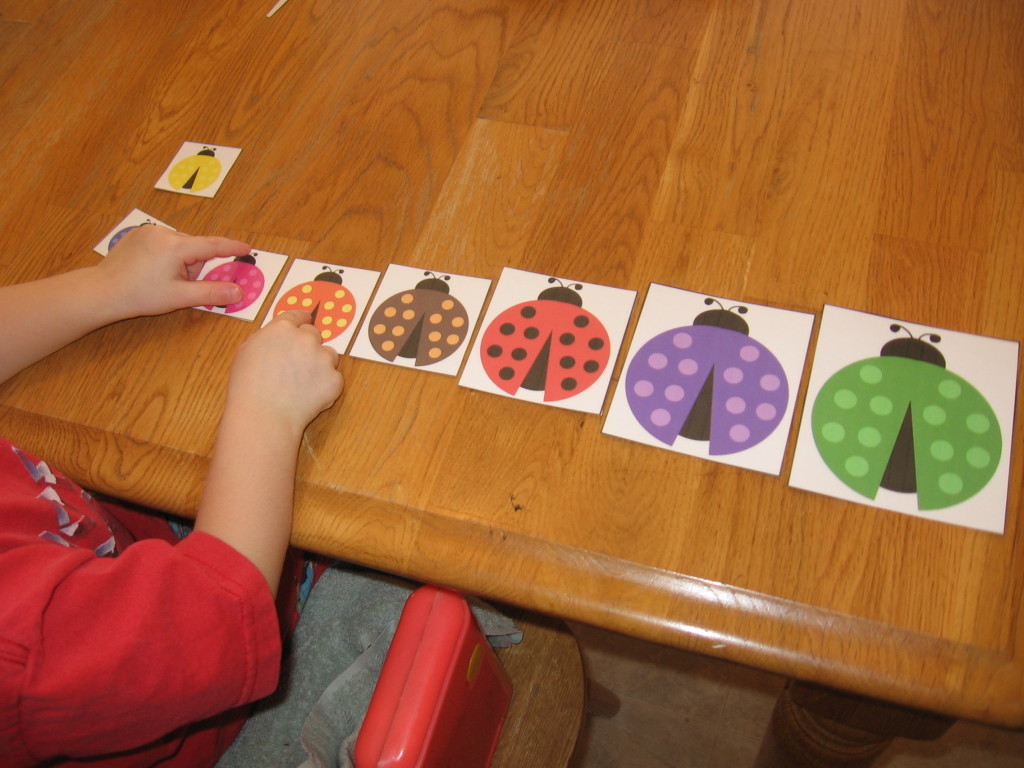 child with ladybug size sort