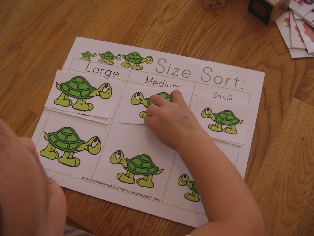 child with turtle size sort letter T