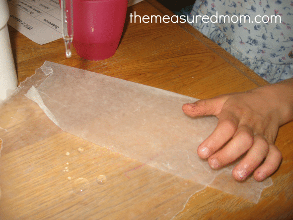 child doing science activity will it absorb or repel water