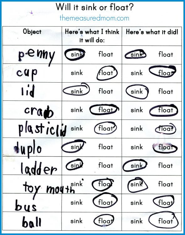 Will it sink or float? worksheet