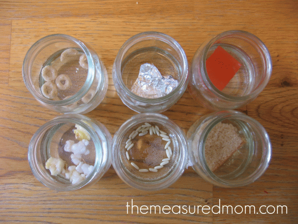 science activity what happens when different objects soak in water