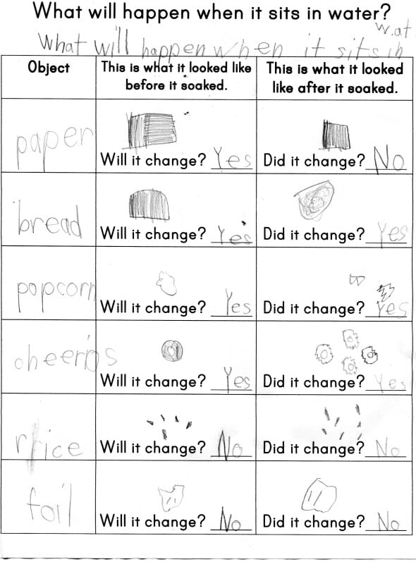 What will happen when it sits in water? worksheet