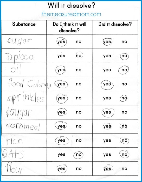 Will it dissolve? worksheet