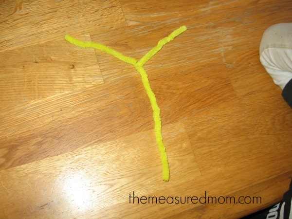 Make Y (7) - the measured mom