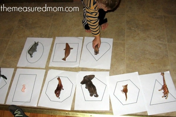 animal math for preschoolers - 2 - the measured mom