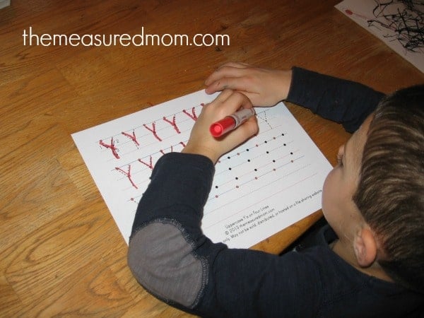 make Y (12) - the measured mom