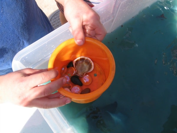 ocean sensory play6