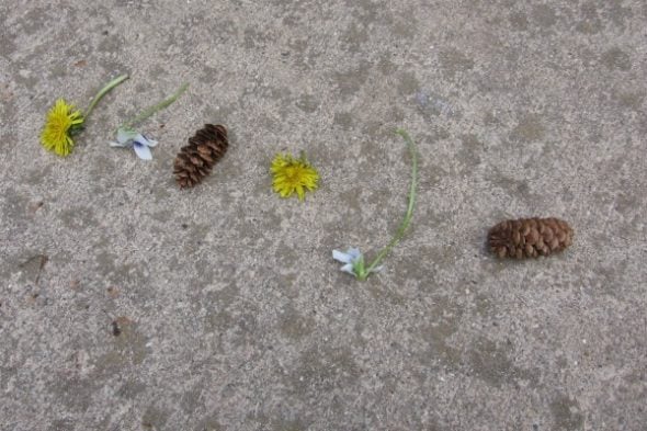 Looking for some outdoor math ideas? Here you'll find a variety of activities for kids in preschool, kindergarten, and first grade.