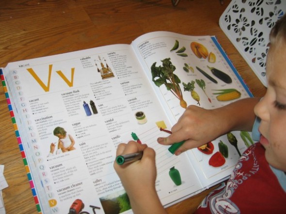 garden sensory tub 12