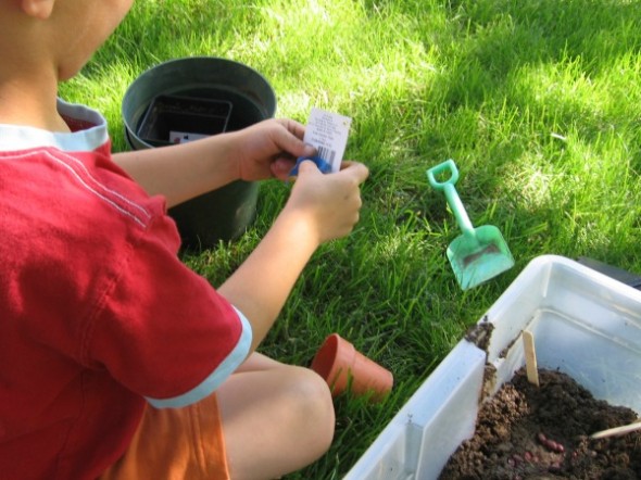 garden sensory tub 4
