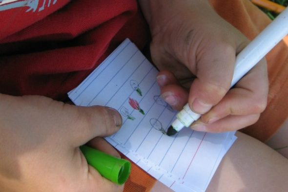 garden sensory tub 6