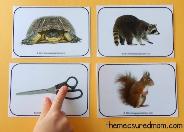 These free printable alphabet cards are gorgeous! Love the bright colors... and they have at least 4 pictures for every letter!