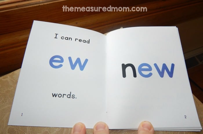 Teach ow words, oi and oy words, and many more phonics patterns with these free printable phonics books! 