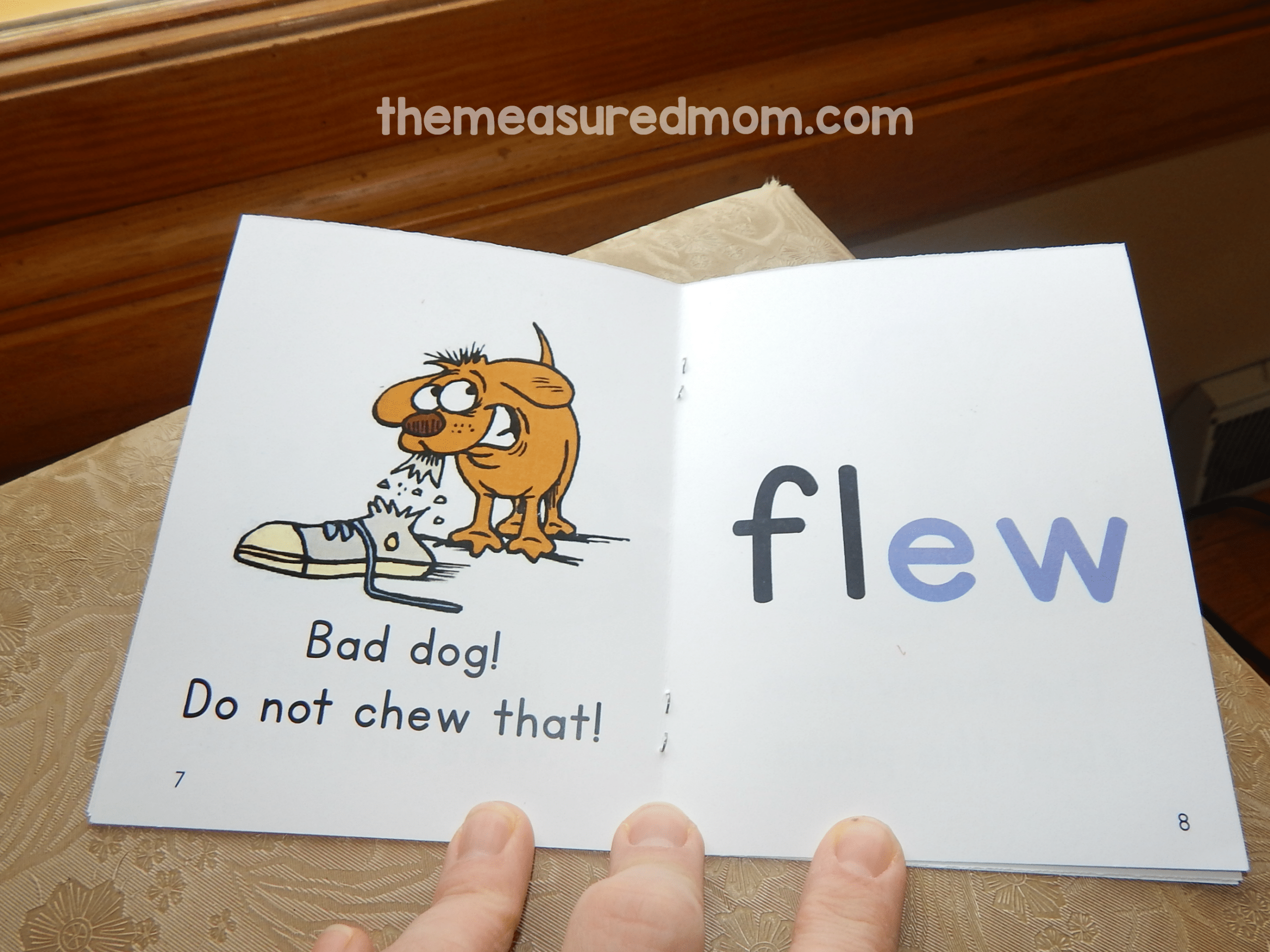 Teach ow words, oi and oy words, and many more phonics patterns with these free printable phonics books! 