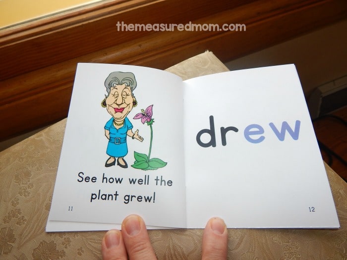 Teach ow words, oi and oy words, and many more phonics patterns with these free printable phonics books! 