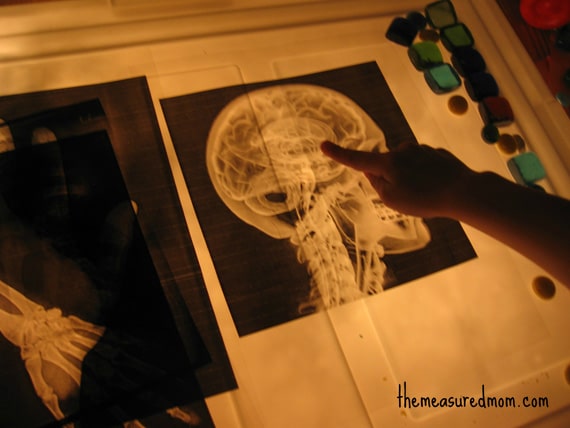 Looking for some fun sensory play ideas? We've got 26 -- one for each letter of the alphabet! 