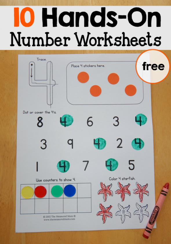 These free number worksheets for preschool reinforce a variety of skills... with lots of hands-on practice! 