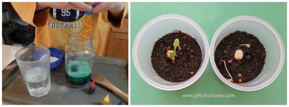 These are our favorite science experiments for preschoolers, from A-Z! 