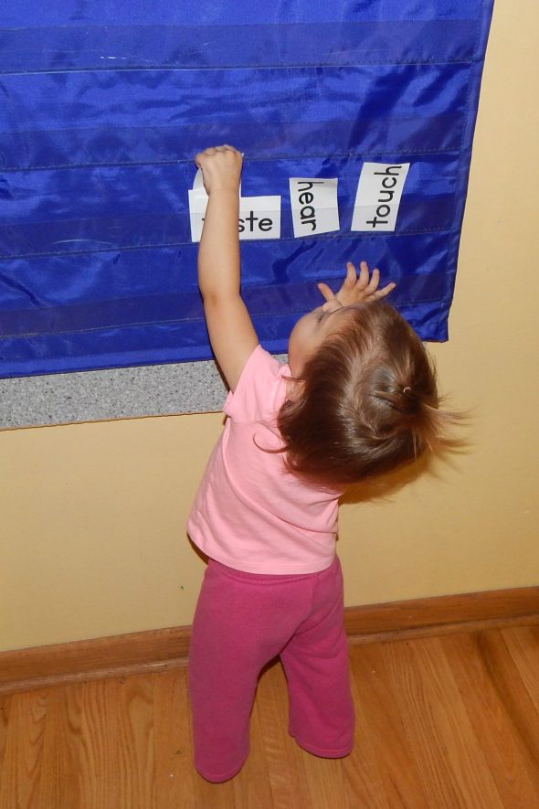 Love this five senses activity for preschool, kindergarten, and first grade! Great pocket chart idea. 