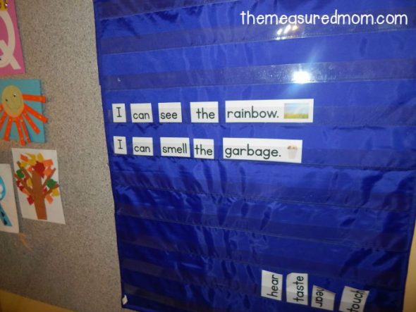Love this five senses activity for preschool, kindergarten, and first grade! Great pocket chart idea. 