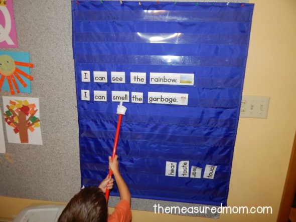 Love this five senses activity for preschool, kindergarten, and first grade! Great pocket chart idea. 