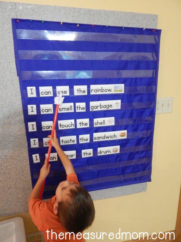 Love this five senses activity for preschool, kindergarten, and first grade! Great pocket chart idea. 