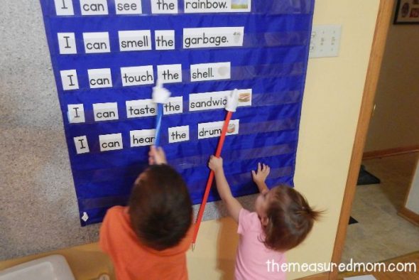 Love this five senses activity for preschool, kindergarten, and first grade! Great pocket chart idea. 