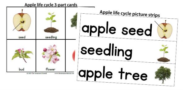 image of 3 part cards etc