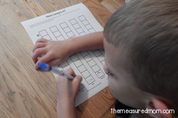 measuring worksheet 2