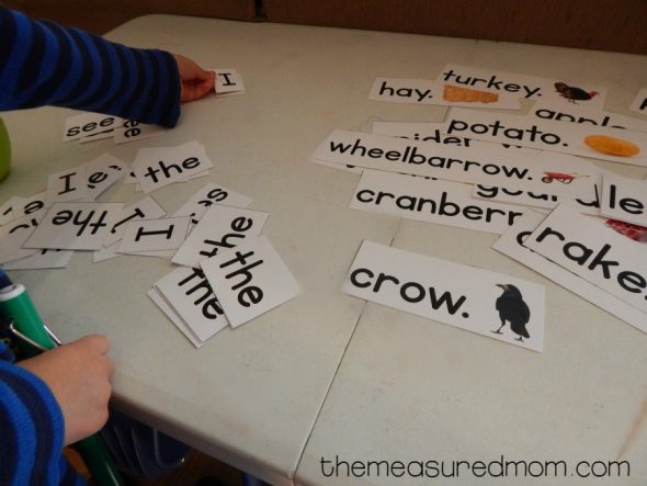 Need a Fall reading activity? Print these Fall pocket chart sentences! 