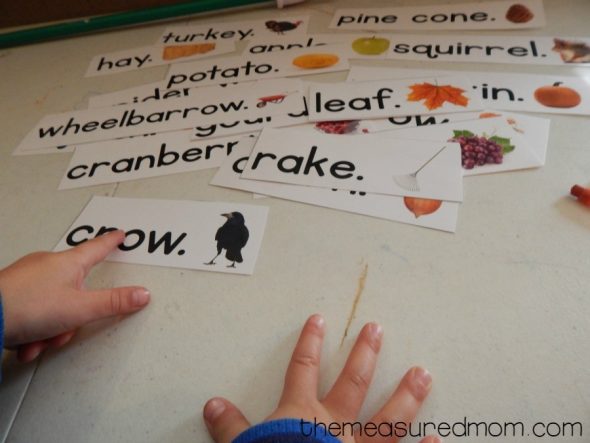 Need a Fall reading activity? Print these Fall pocket chart sentences! 