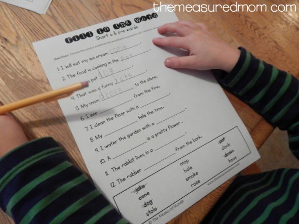 There's so much variety in these silent e worksheets! They're perfect for home or the clasroom! 