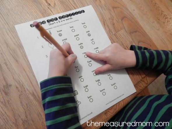 There's so much variety in these silent e worksheets! They're perfect for home or the clasroom! 