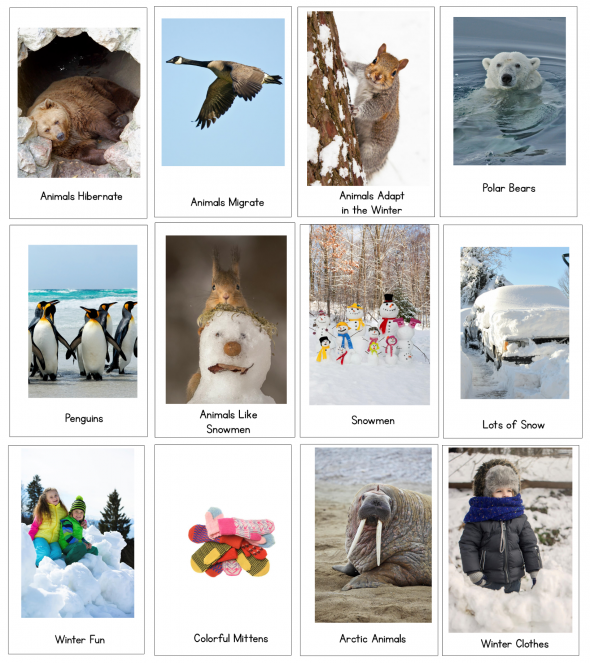 winter nonfiction reader collection image