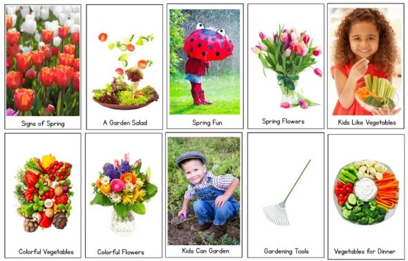 spring nf readers set