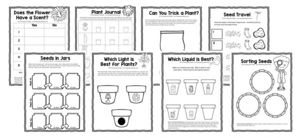 spring science activities