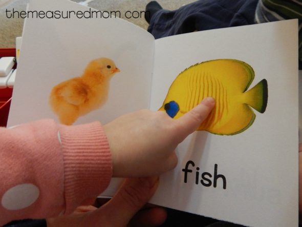 My 2-year-old LOVES these books about colors for toddlers. She carries them around in a little tin lunch box! 