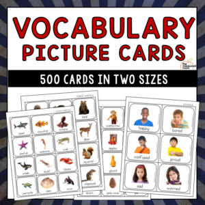 500 Vocabulary Picture Cards