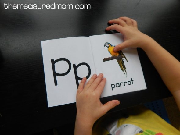 Check out our fun collection of letter P activities for toddlers!
