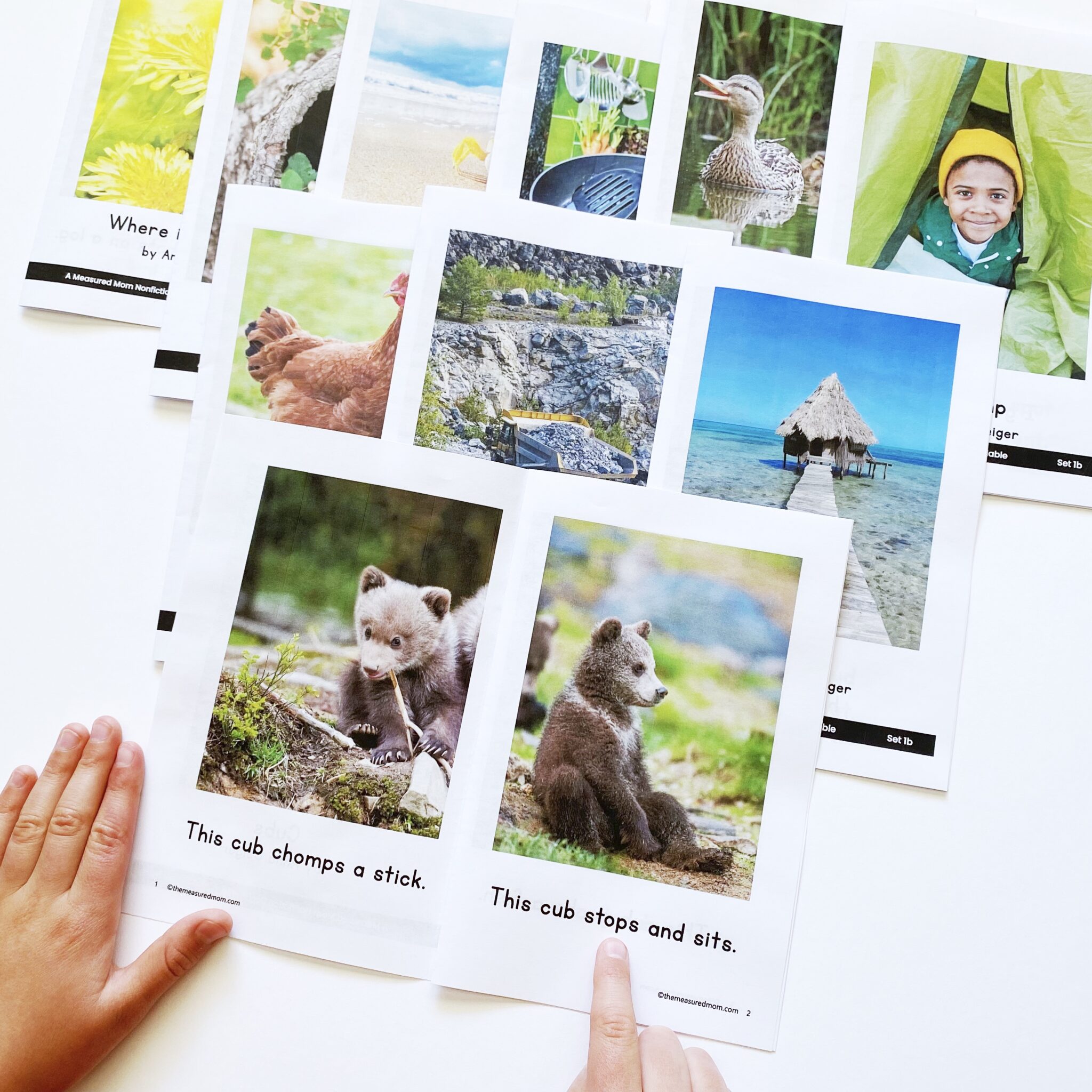 Teaching reading is about to get easier. - Reach All Readers