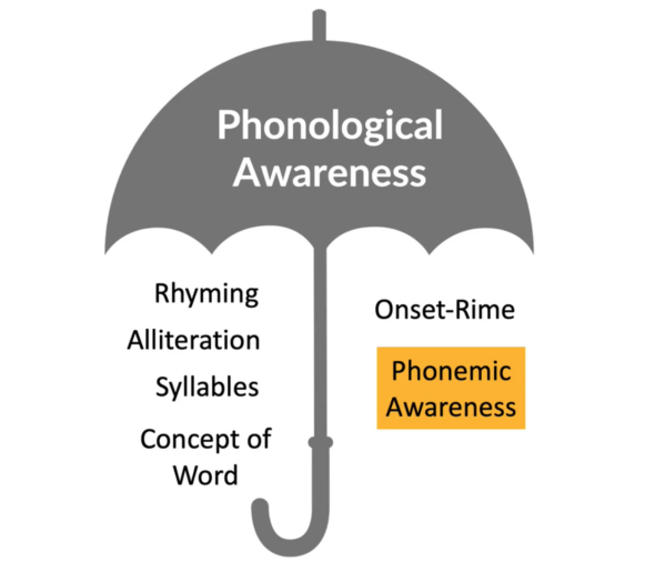 teaching phonemic awareness - graphic